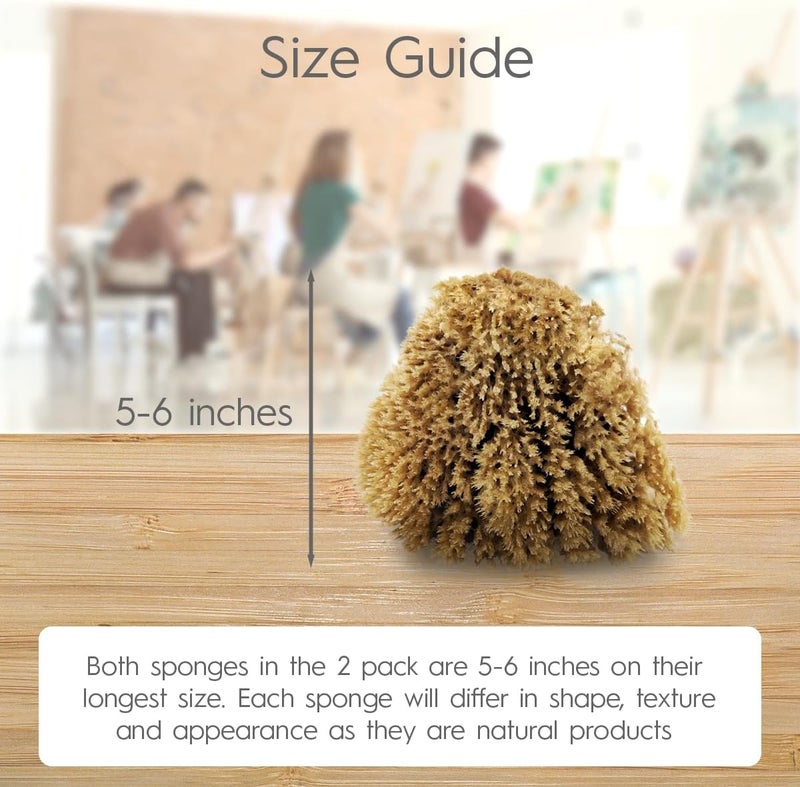 Naroa Natural Artist Sea Sponges for Painting 2 Pack | Large Art Tools for Decorating, Marbling, Sponging, Texturing and Crafts | Great for Artists & Children - Image 4